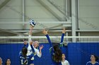 VB vs Salve  Wheaton Women’s Volleyball vs Salve Regina University. : volleyball